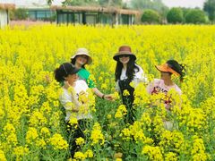 -洪湖家庭农场·团建·露营·会议