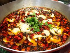 沸腾水煮鱼-哈啾嗨·新概念蒙餐(红星新城店)