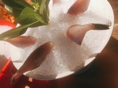 -辣伍鲜毛肚老火锅(元一店)