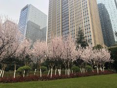 -重庆市江北嘴中央商务区中央公园