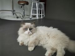 -一间摄影工作室(天安云谷店)