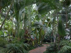 -国家植物园南园