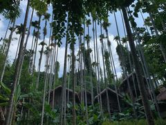 -海南槟榔谷黎苗文化旅游区