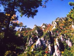 -王顺山国家森林公园