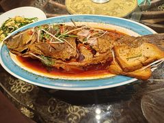 -蒙古大营(朝阳公园店)