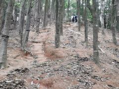 -阿婉贵州苗家酸汤鱼(梅林店)