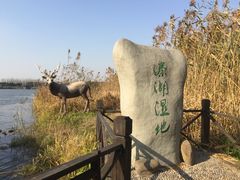 -溱湖国家湿地公园