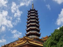 -仙岳公园