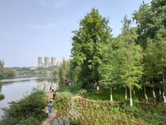 -重庆彩云湖湿地公园