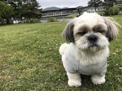 -轻井泽王子购物广场