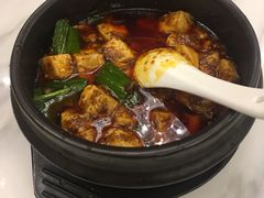 金牌麻辣豆腐-陈麻婆豆腐总店