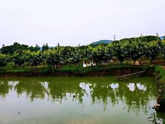 -呼吸森林·生态农庄农家乐私房菜