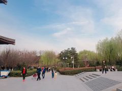 -西安青龙寺遗址景区