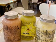 -野萃山·潮汕厚果汁(十亩地店)