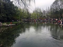 -运河游船(武林门码头)