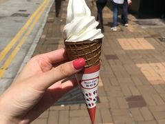 -富豪雪糕车流动点(尖沙咀店)
