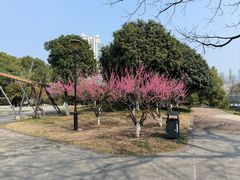 -月湖风景区