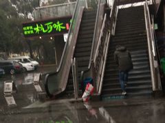 -杭百味·大众精选杭帮菜(西湖音乐喷泉店)