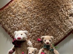 -济州岛泰迪熊博物馆