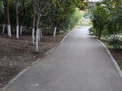 -丁香湖公园