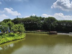 -江门古劳水乡旅游区