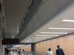 -青岛胶东国际机场