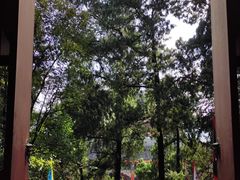 -老君山