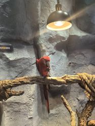 -Zoolung Zoolung动物主题公园(海信广场店)