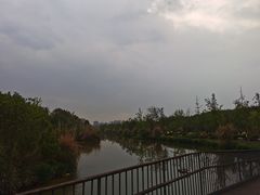 -白鹭湾湿地公园