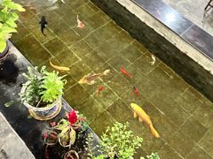 -燕北云山·农家菜·灶台鱼(密云溪翁庄店)