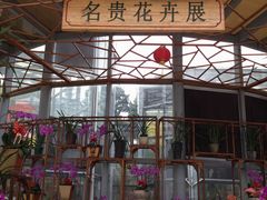 -松山湖梦幻百花洲