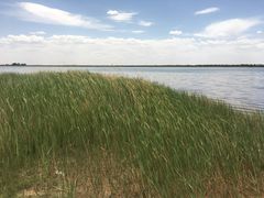 -亿利库布其七星湖沙漠生态旅游区