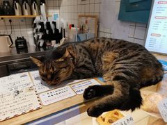 -猫的天空之城概念书店(苏州平江店)