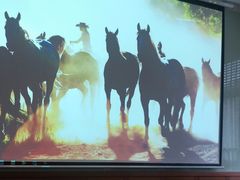 -复星星堡社区(中环二期店)