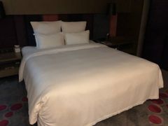 -南京禄口机场雅高铂尔曼大酒店