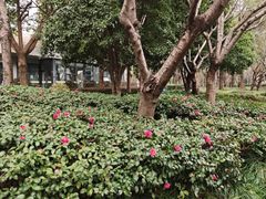 -南翔镇银翔湖公园