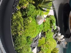 -松云泽