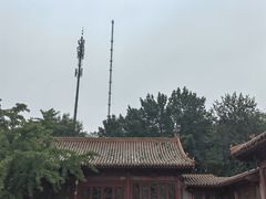 -元大都城垣遗址公园