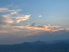 -长虫山生态公园风景林