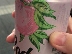 -长春西站