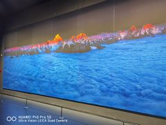 -罗红摄影艺术馆