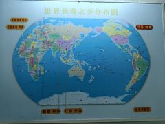 -水绘园