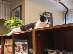 -路易时光(蕴川路店)