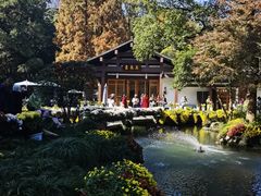 -杭州植物园