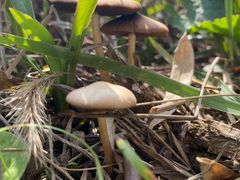 -北仑森林植物园