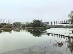 -上海鲜花港