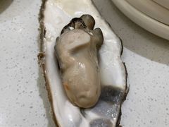 -小茉庐和牛自助火锅(龙湖万达店)