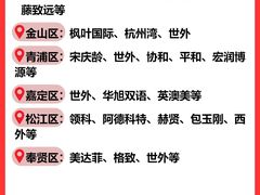 -菠萝国际教育专注Alevel·IGCSE·IB·AP·托福雅思培训辅导(静安校区)