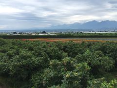-富田农场