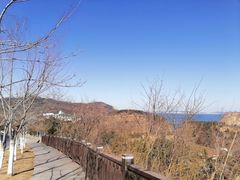 -棒棰岛宾馆景区